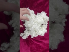 Fibra de grampo de poliéster